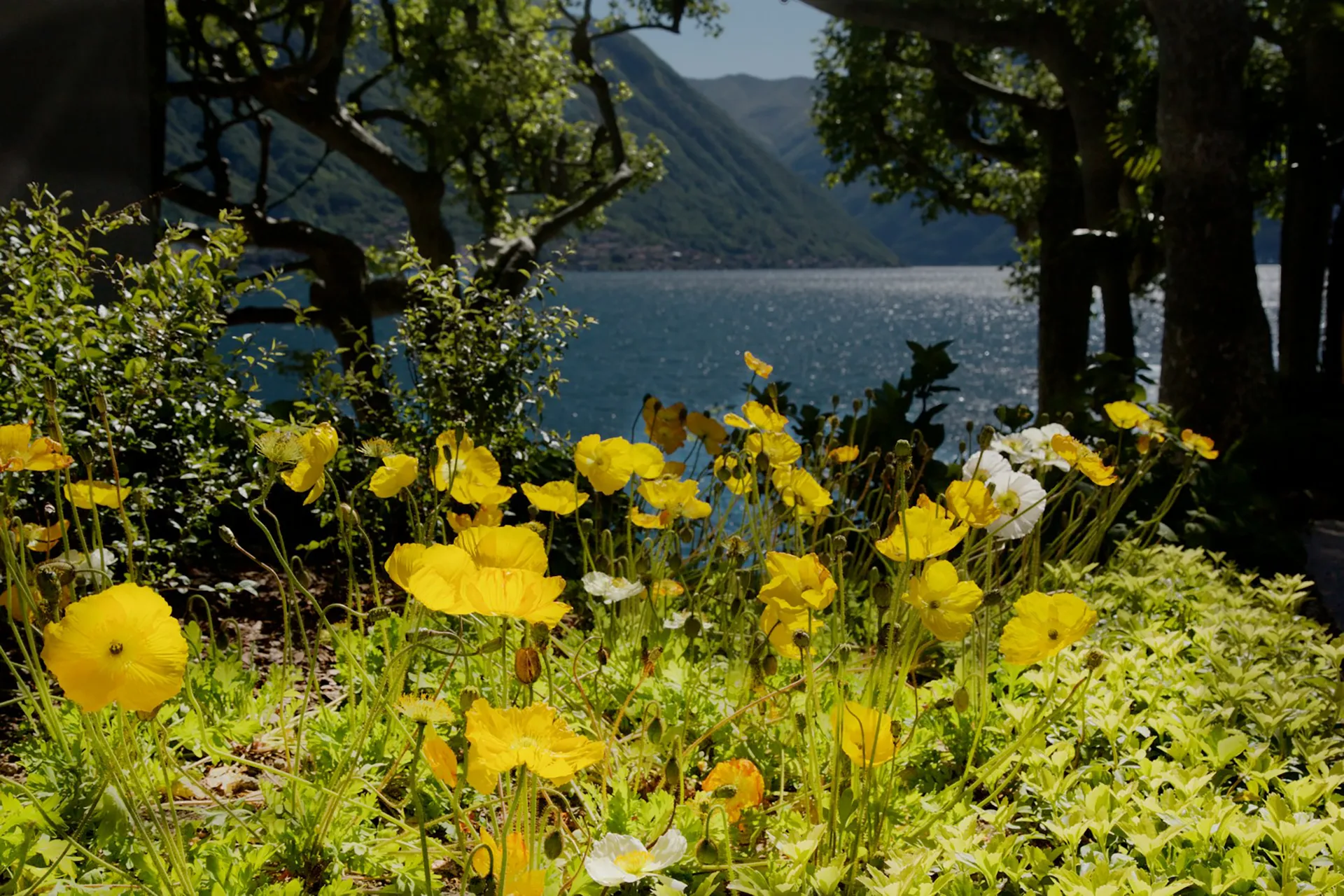 What To Do Near Villa Gina Greenway Of Como Lake